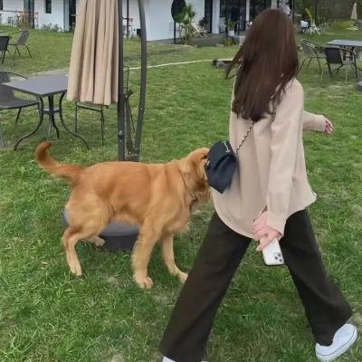 出墙红杏两家春